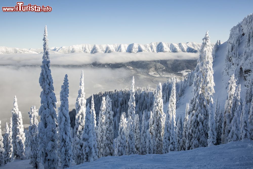 Immagine Paesaggio da fiaba sulle montagne innevate di Fernie, British Columbia, Canada.