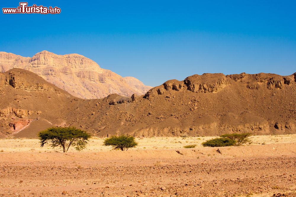 Immagine Paesaggio dal Timna National Park nei pressi di Eilat, Israele. In questa terra desertica israeliana a una ventina di minuti da Eilat si possono ammirare le colonne di Salomone, il Red Canyon e singolari formazioni rocciose.