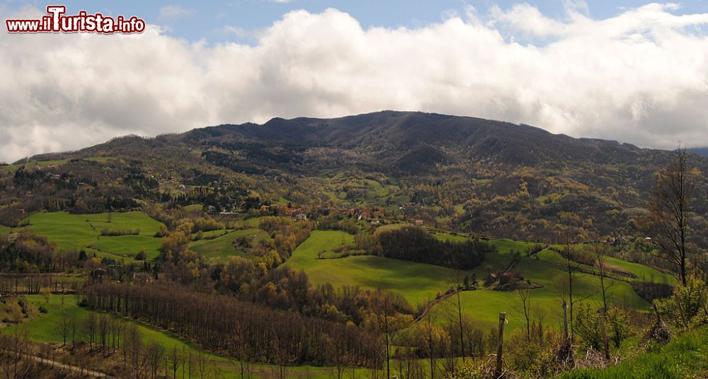 Immagine Paesaggio dell'Alpe di Monghidoro - © Rodrigotebani - CC BY-SA 3.0, Wikipedia