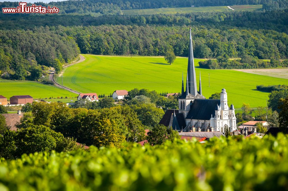 Immagine Paesaggio della Champagne-Ardenne nei pressi di Les Riceys, Francia.