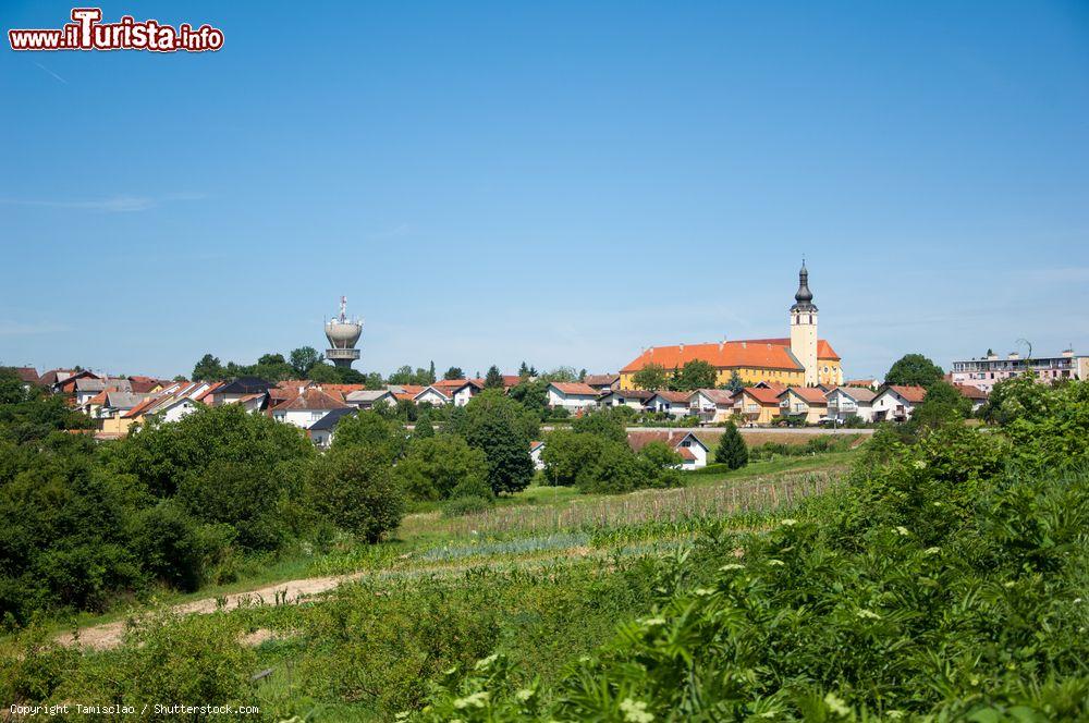 Immagine Paesaggio della città di Nasice, Slavonia, Croazia. E' situata nella parte orientale del territorio croato, sulle pendici del monte Krndija - © Tamisclao / Shutterstock.com