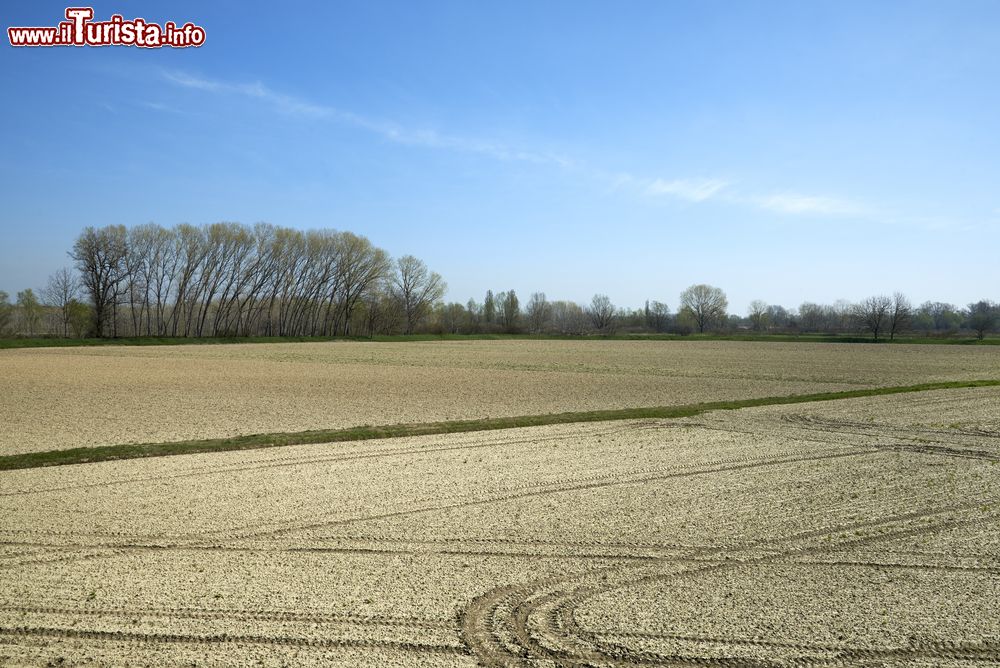 Immagine Paesaggio della pianura Padana sulle rive del fiume Po, non lontano da Roccabianca