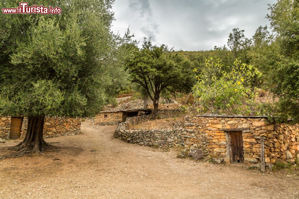 Immagine Il paesaggio rurale  della Valle del Fango vicino a Galeria, Corsica
