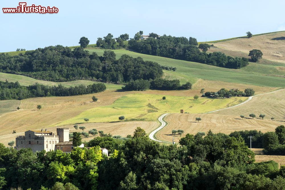 Immagine Paesaggio delle colline delle Marche nei pressi di San Severino