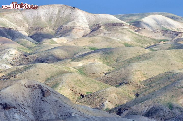 Immagine Il paesaggio desertico della Giudea: siamo nella regione di  Gerico, nella Cisgiordania di Israele - © ChameleonsEye / Shutterstock.com