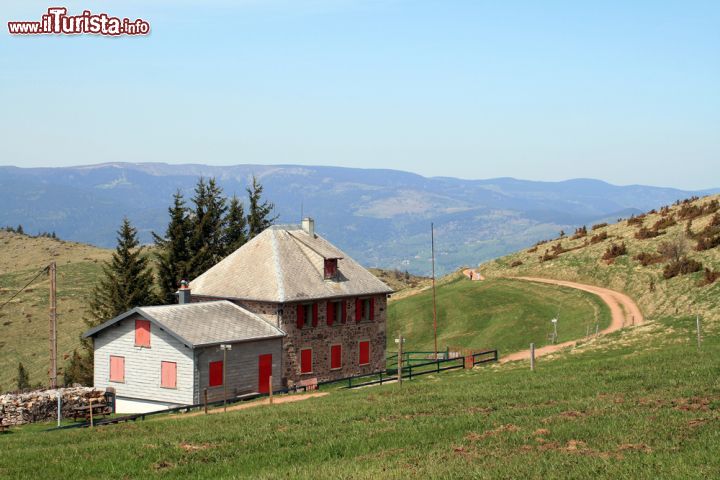 Immagine Paesaggio di montagna nei Vosgi, fotografia scattata vicino a Munster in Francia - © LENS-68 / Shutterstock.com