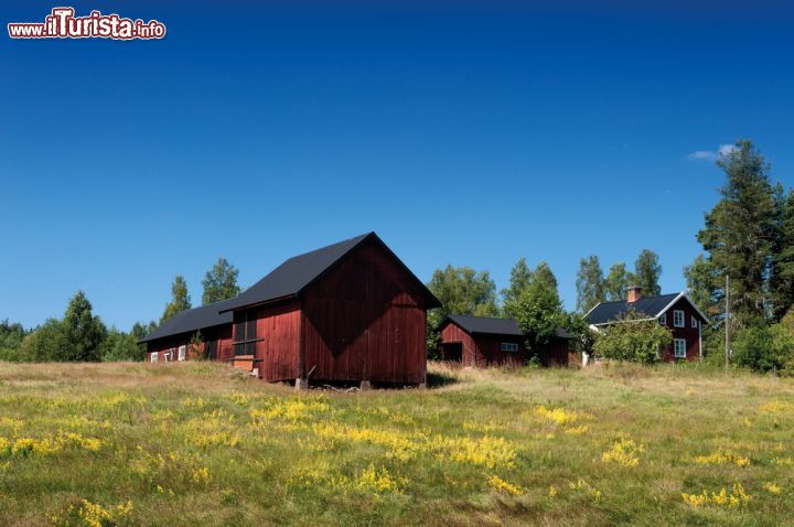 Immagine La regione dello Småland, nella Svezia meridionale, fu il luogo in cui nacque e crebbe Astrid Lindgren. Qui, nei pressi di Vimmerby, si trova anche il Parco Nazionale Norra Kvill - foto © almgren / Shutterstock.com