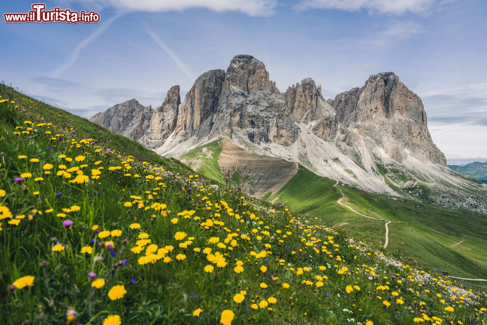 Immagine Paesaggio estivo al Passo Sella con le cime del Sassopiatto e Sassolungo, Santa Cristina, Val gardena, Trentino Alto Adige. Questo valico delle Dolomiti, situato a 2240 metri s.l.m., mette in comunicazione Canazei con Selva di Val Gardena.