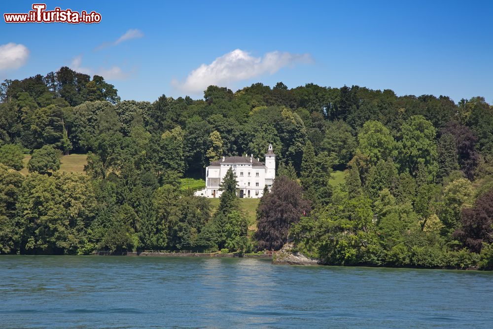 Immagine Paesaggio estivo del lago di Lucerna nei pressi della città di Weggis, Svizzera.