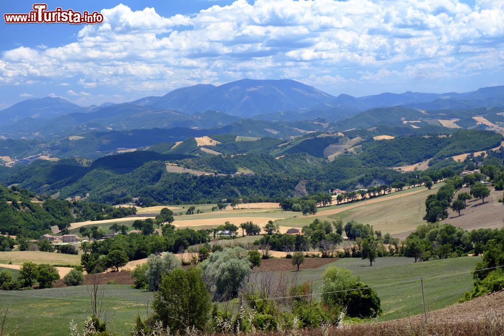Immagine Paesaggio estivo tra le montagne di Carpegna nel Montefeltro, regione Marche