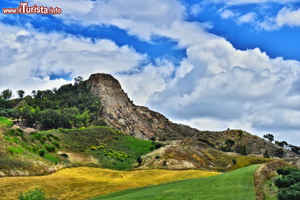 Immagine Paesaggio in provincia di Crotone, Calabria, con campi coltivati e vegetazione boschiva.