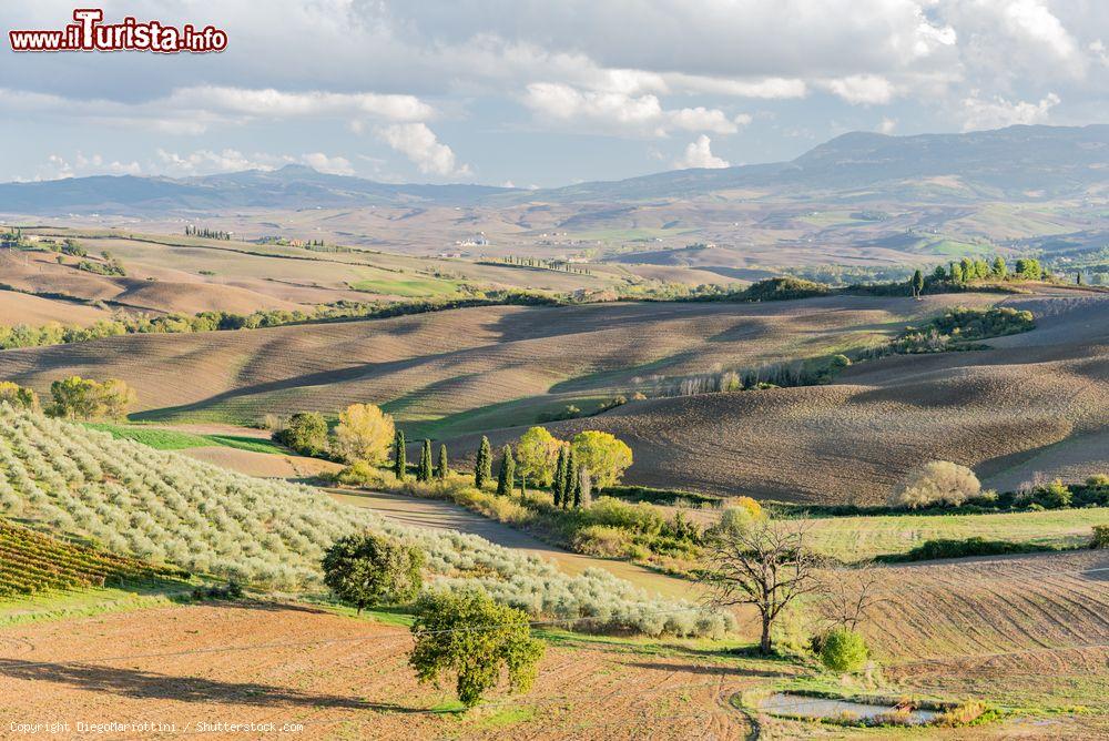 Immagine Paesaggio in Val d'Orcia  in Toscana vicino a Bagni San Filippo - © DiegoMariottini / Shutterstock.com