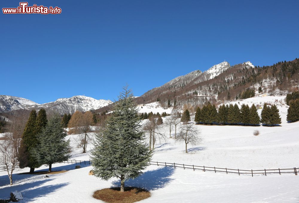 Immagine Paesaggio innevato con il monte Spitz, nord Italia, in inverno: siamo a Tonezza del Cimone, provincia di Vicenza.