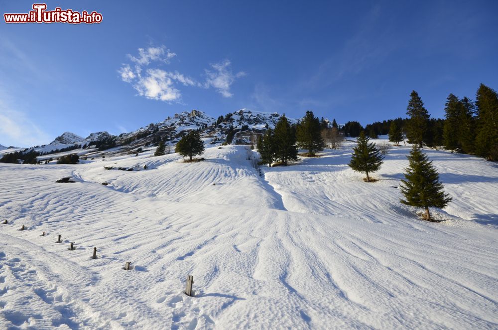 Le foto di cosa vedere e visitare a Ovronnaz