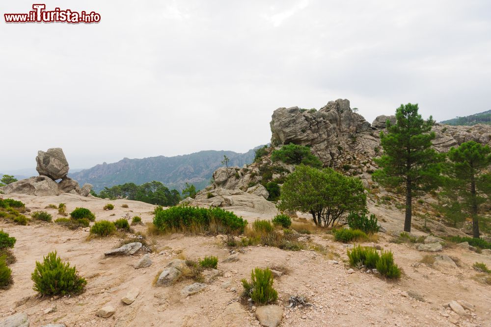 Immagine Paesaggio interno della Corsica nella zona di Lecci, nel sud-est dell'isola