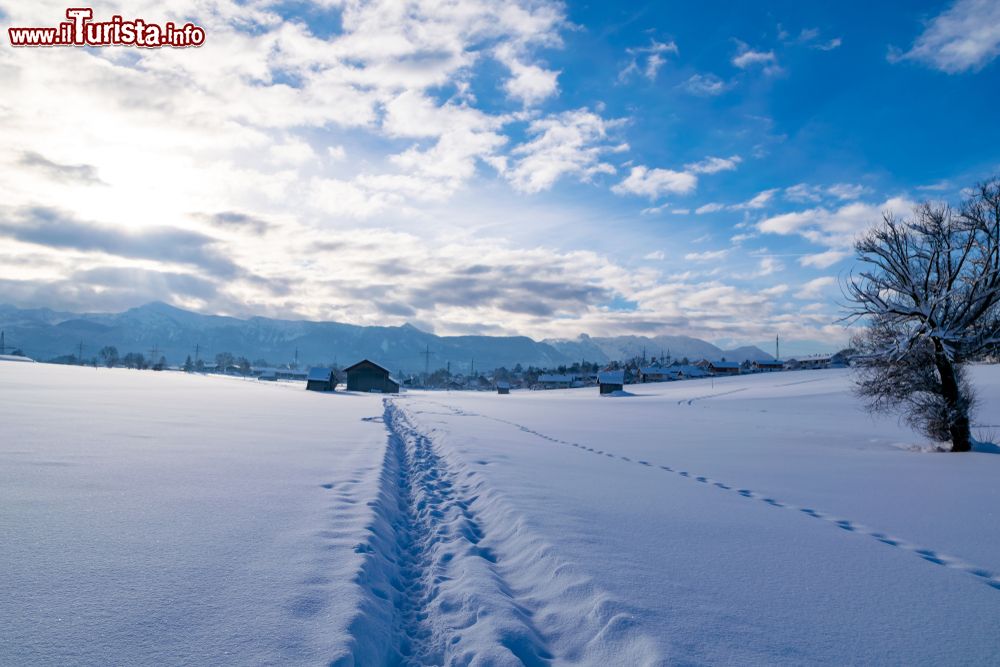 Immagine Paesaggio invernale con la neve nelle campagne di Murnau am Staffelsee, Germania.