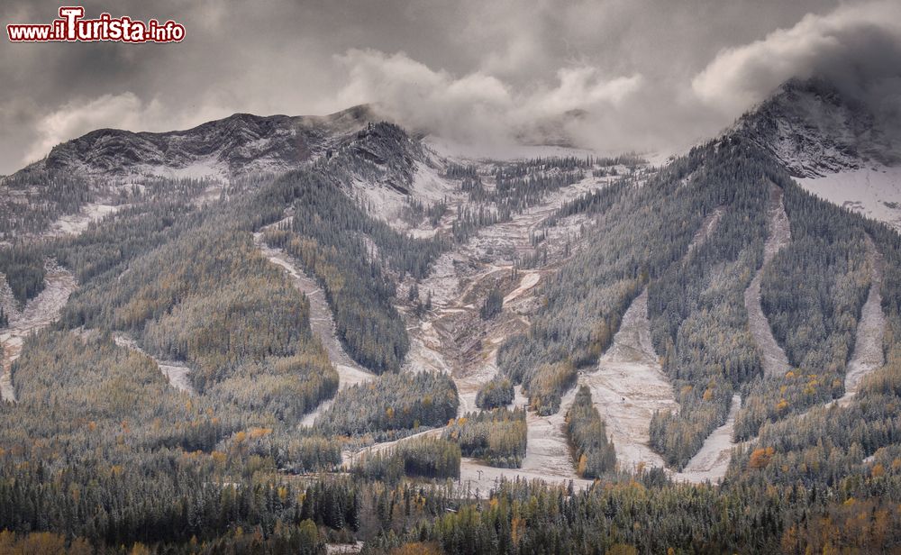 Immagine Paesaggio invernale nei dintorni di Fernie, località turistica della British Columbia, Canada.