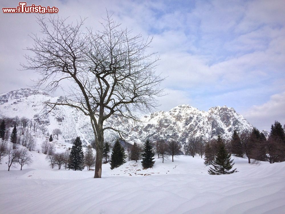 Immagine Paesaggio invernale nei pressi di Recoaro Terme, in Veneto.