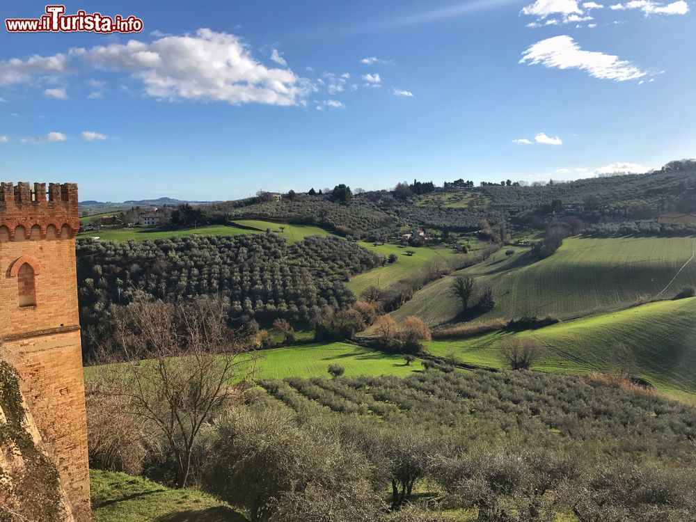 Immagine Paesaggio marchigiano nei presso di Cartoceto, provincia di Pesaro ed Urbino