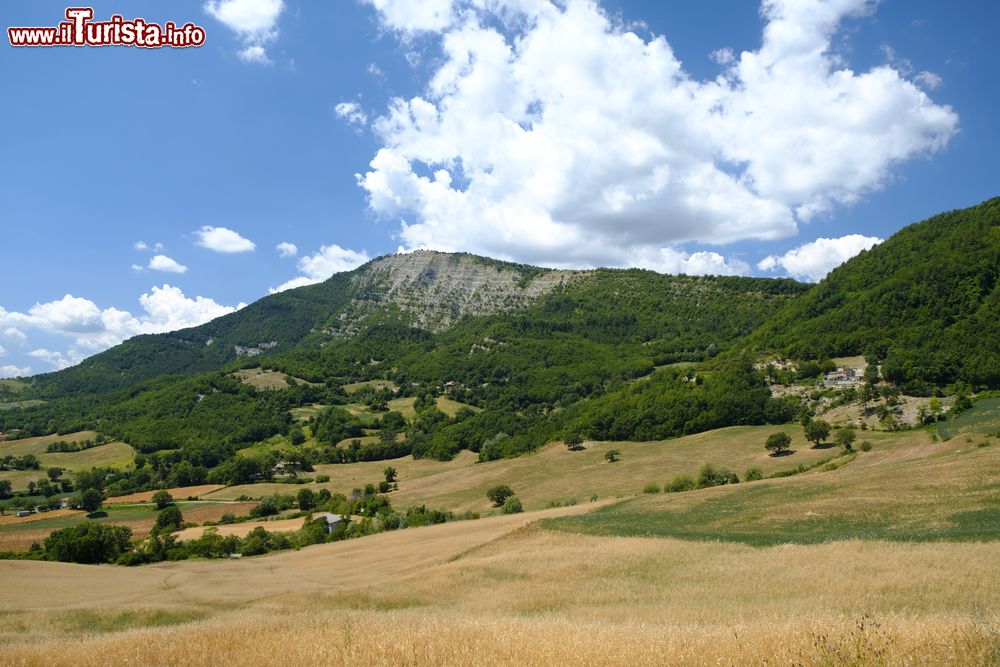 Immagine Paesaggio montano a nord di Carpegna, in direzione di Montecopiolo, Marche