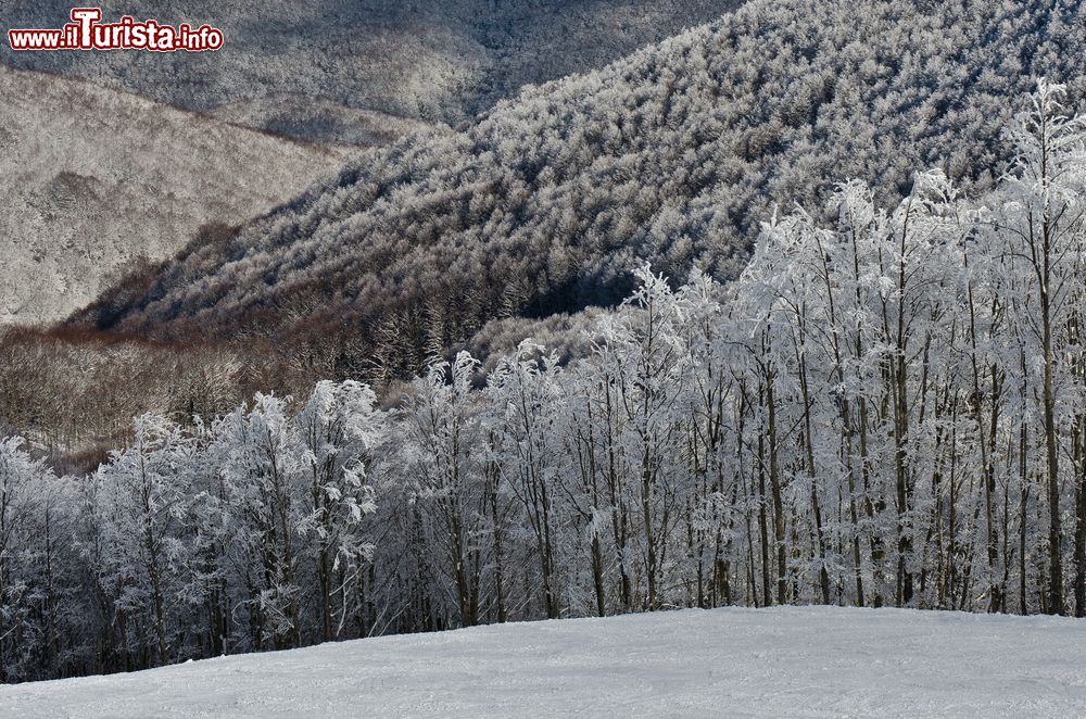 Immagine Paesaggio montano ghiacciato nei pressi di Laceno, Campania. La singolare forma a conca che caratterizza l'altopiano fa si che ci siano forti inversioni termiche in tutte le stagioni: nei mesi invernali si possono raggiungere anche i - 20 °C.