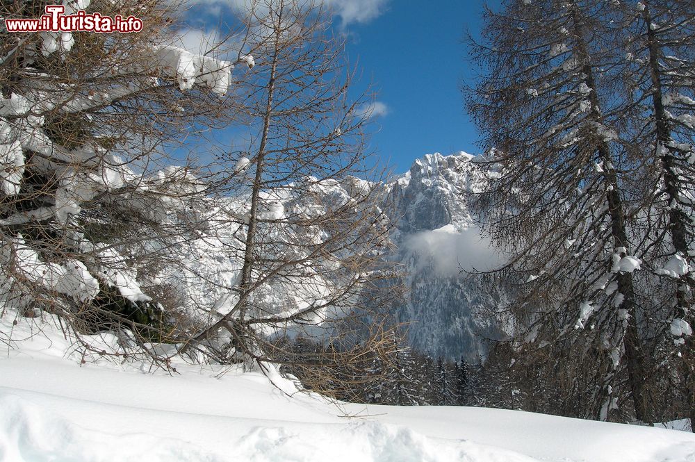 Immagine Paesaggio montano sulle Dolomiti del Trentino a Folgarida.
