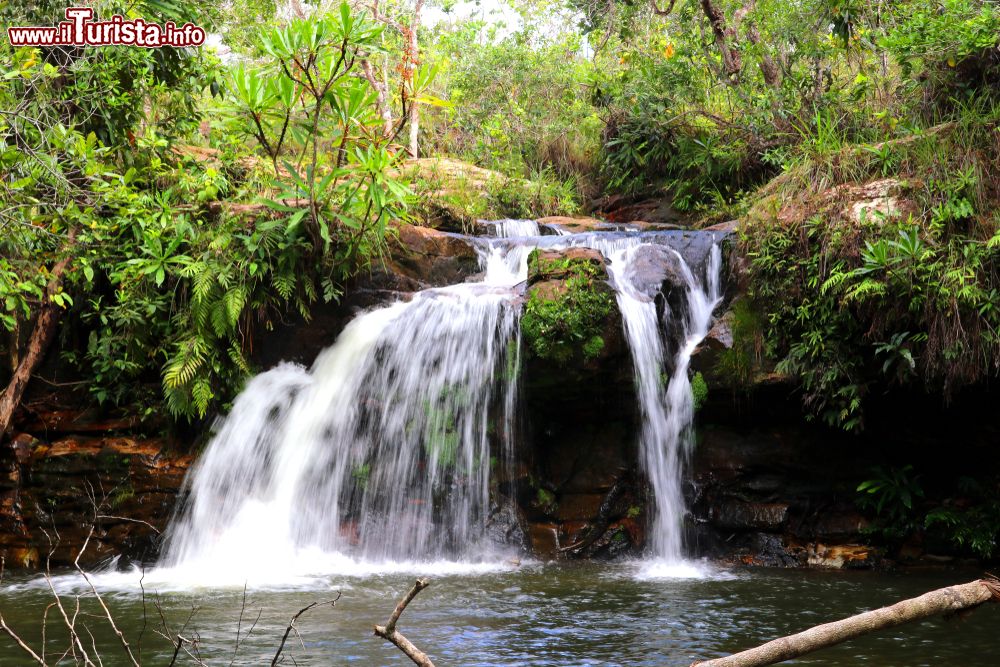 Immagine Paesaggio naturale a Chapada dos Guimaraes, cittadina a 60 km da Cuiaba, Brasile.