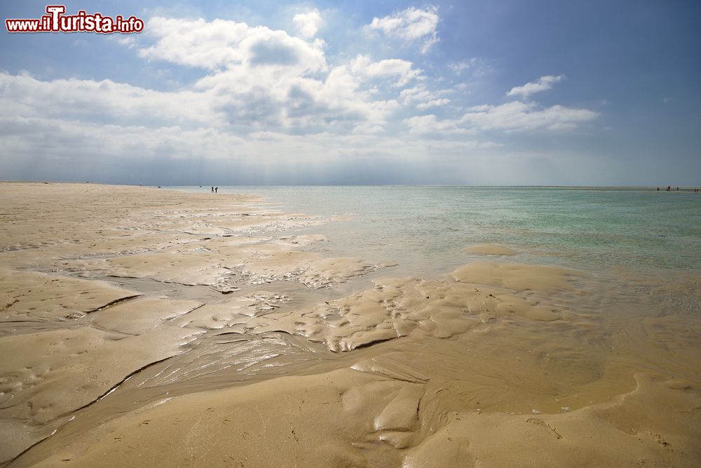 Immagine Paesaggio naturale a Troia, Portogallo: siamo nei pressi dell'estuario del fiume Sado. Proprio da queste parti abita una popolazione di delfini che ha resistito all'invesione da parte dell'uomo del suo habitat.