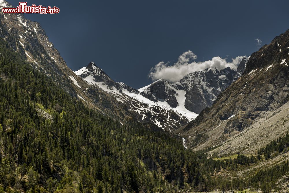 Immagine Paesaggio naturale con montagne e vette innevate a Cauterets, Francia.