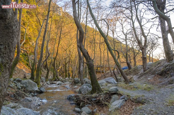 Immagine Paesaggio naturale nel villaggio di Steni a Eubea, Grecia - Meta turistica invernale più conosciuta dell'isola, Steni si trova nel centro della prefettura a 450 metri di altezza fra boschi di pini, faggi, castagni, ciliegi e aceri. Coperto di neve in inverno, questo luogo incantevole sorprende nelle altre stagioni per i suoi suggestivi panorami © Kotsovolos Panagiotis / Shutterstock.com