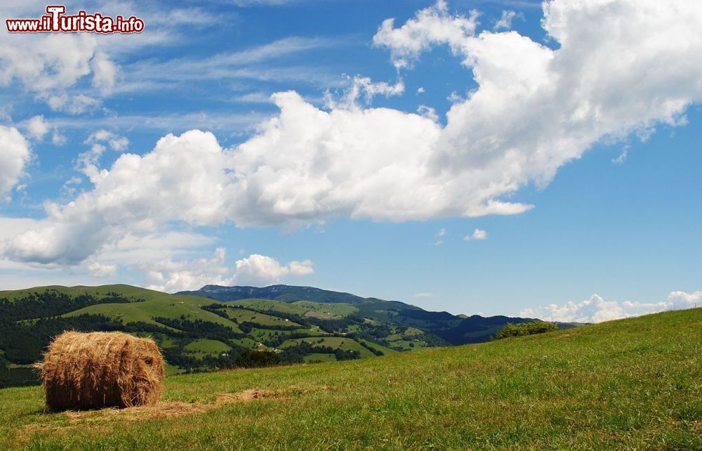 Immagine Paesaggio nei dintorni di Solagna in Veneto, provincia di Vicenza - © kokimimi, CC BY-SA 3.0, Wikipedia