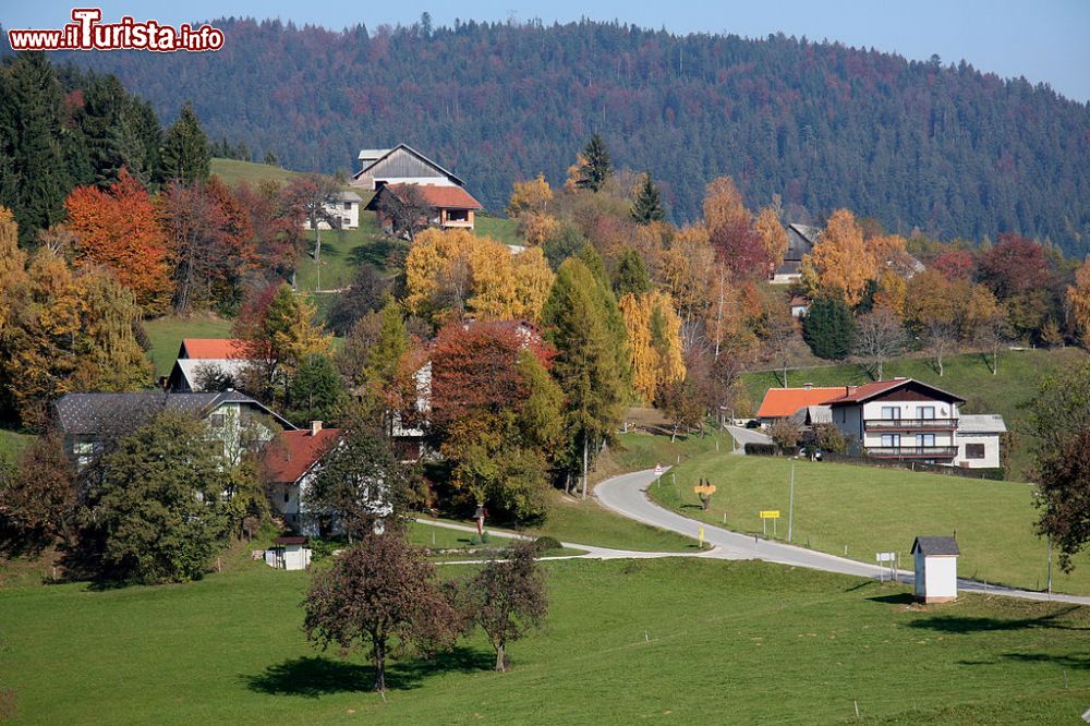 Immagine Paesaggio nei dintorni di Zrece in Slovenia - © Yerpo - CC BY-SA 3.0, Wikipedia