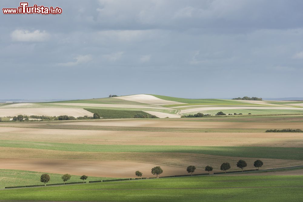 Immagine Paesaggio nei pressi di Epernay e Monthelon fotografato in una giornata di sole e qualche nuvola, Francia.