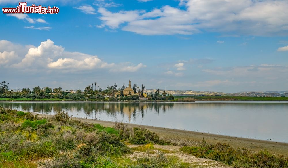 Immagine Paesaggio primaverile con la moschea di Hala Sutan Tekke sullo sfondo, Larnaka, isola di Cipro. Costruita nel XVIII° secolo dagli ottomani, sorge sulle rive del lago salato di Larnaka. Rappresenta il sito musulmano più sacro di Cipro.