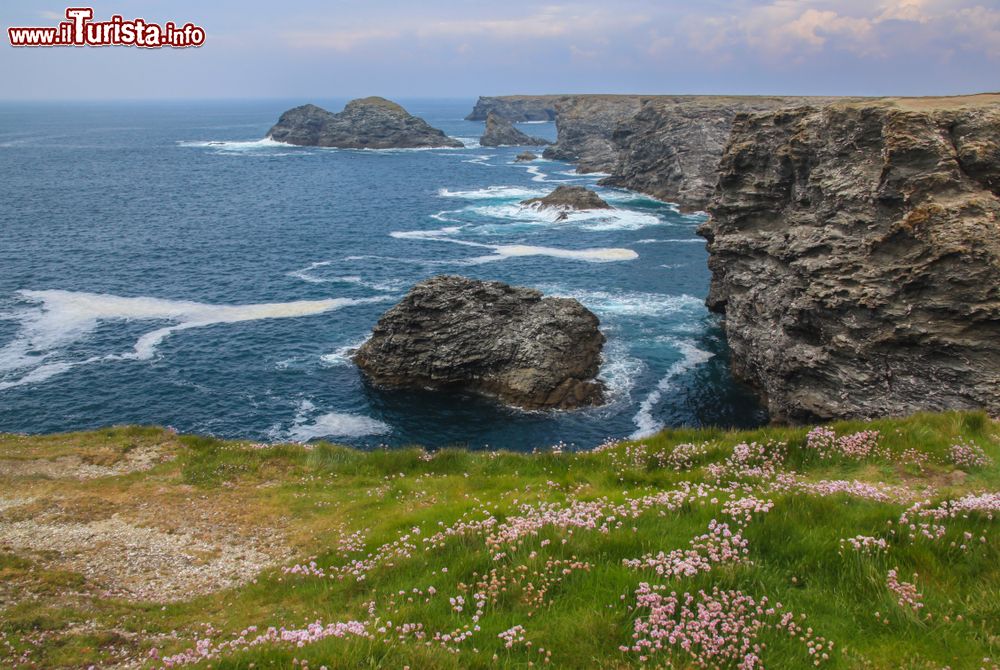 Immagine Paesaggio primaverile della costa rocciosa Atlantica a Belle Ile en Mer, Francia. L'isola di Belle Ile si trova al largo della costa della Bretagna a 14 chilometri dalla penisola del Quiberon. Questo territorio fu scelto dallo scrittore Alexandre Dumas per ambientare diversi episodi della sua opera Il Visconte di Bragelonne.