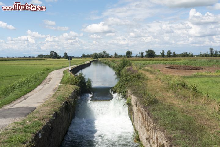 Immagine Il Paesaggio rurale della pianura lombarda nei dintorni di Abbiategrasso in Lombardia - © Claudio Giovanni Colombo / Shutterstock.com