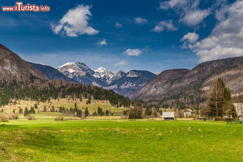 Immagine Paesaggio rurale nei pressi del lago di Bohinj, Slovenia. Sullo sfondo le montagne della Slovenia, alcune con le cime innevate.