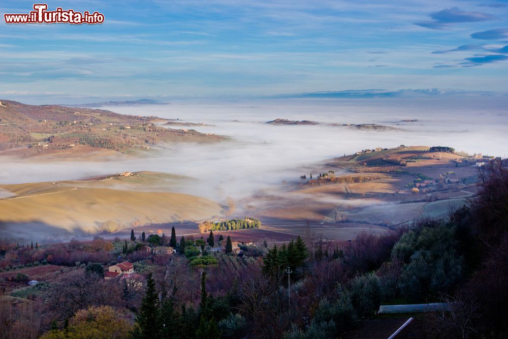 Immagine Paesaggio toscano immerso nella nebbia a Montepulciano, Toscana, Italia.