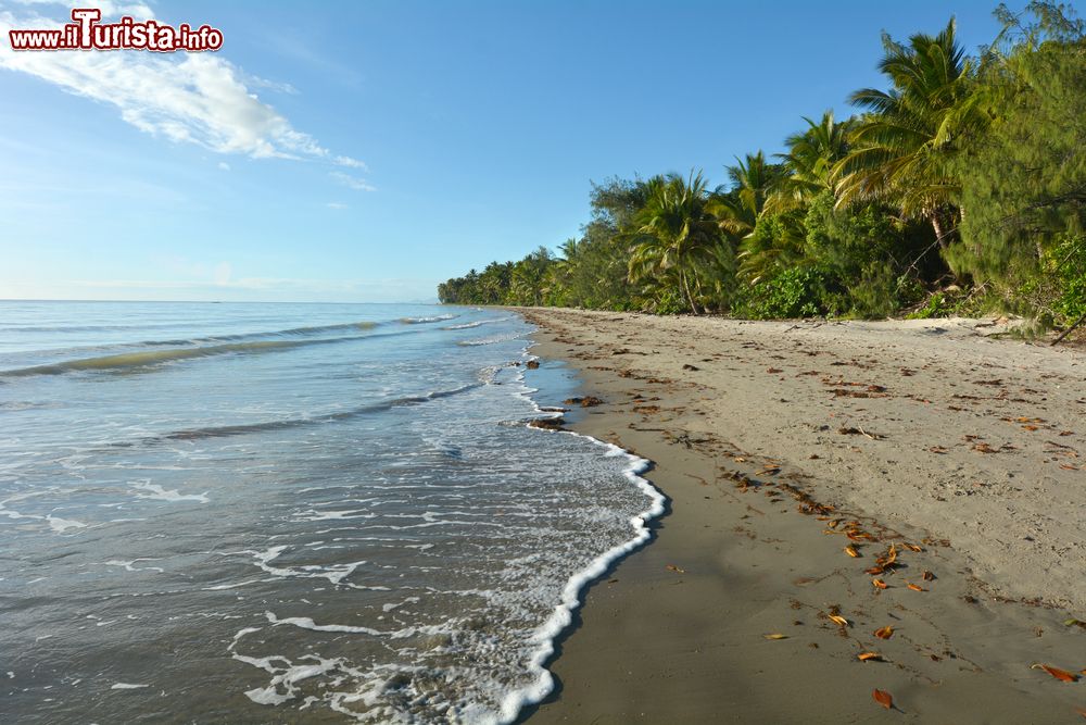 Immagine Un paesaggio tropicale con le onde che si infrangono sulla Four Mile Beach a Port Douglas nel nord del Queensland, Australia.