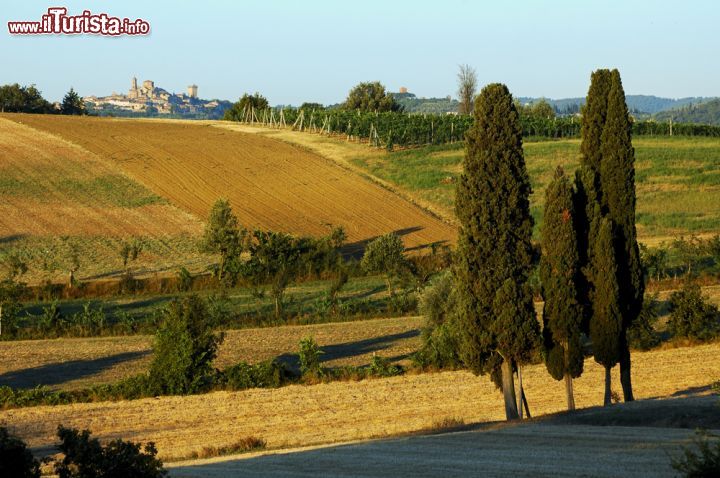 Immagine Il dolce paesaggio della Valdichiana e il borgo di Lucignano sullo sfondo Toscana - © Roberto Cerruti / Shutterstock.com