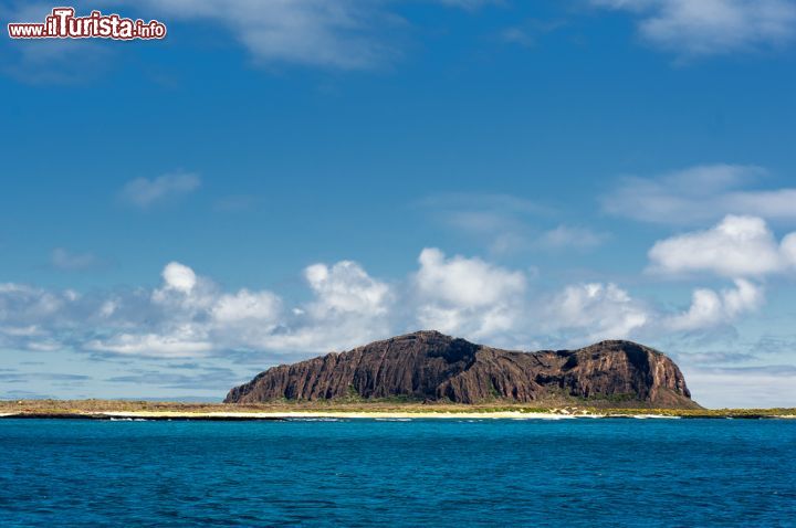 Immagine Costituito da un gruppo di 13 isole l'Arcipelago delle Galapagos si trova a circa un migliaio di km dalle coste dell'Ecuador, in prossimità dell'equatore sul bordo orientale dell'Oceano Pacifico. Di origine vulcanica il gruppo di isole è famoso per la sua particolare fauna autoctona che qui si è evoluta in modo del tutto particolare: se ne accorse Charles Darwin che qui trovò molte prove a sostegno della sua teoria dell'evoluzione della specie - © Boyd Hendrikse / Shutterstock.com