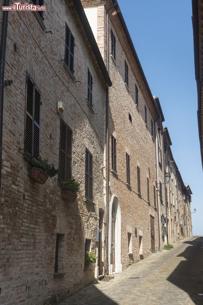 Immagine Palazzi affacciati su una stradina del centro storico di Mondavio, Marche.