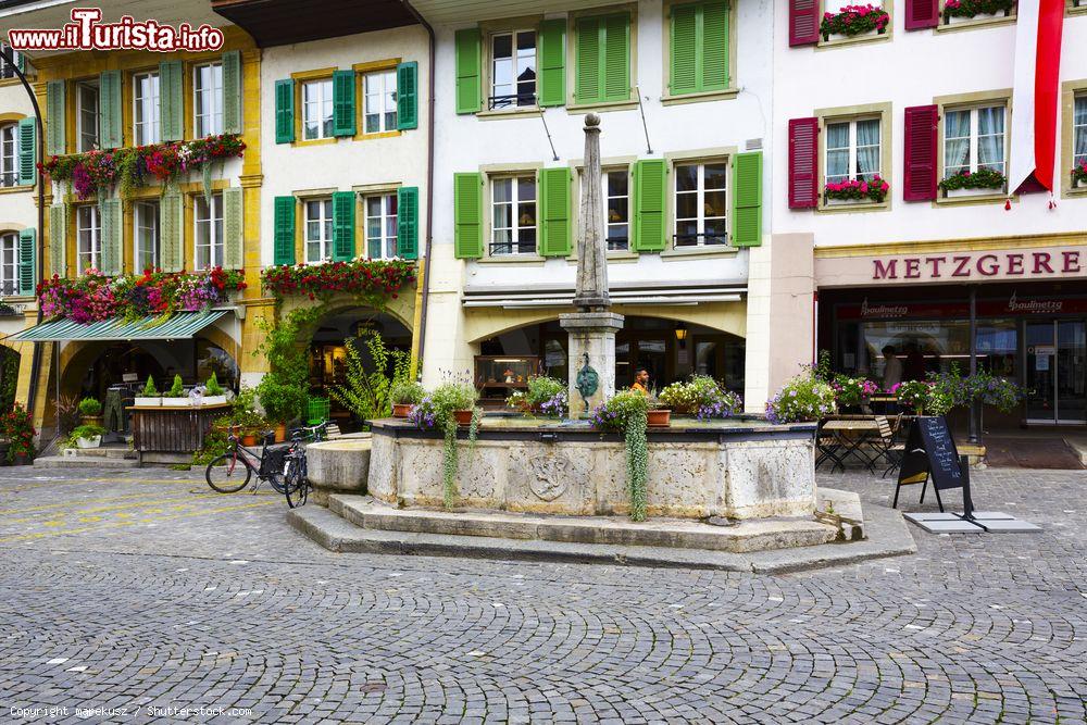 Immagine Palazzi nella via principale della vecchia città di Murten, Svizzera. In primo piano una delle fontane che si possono ammirare passeggiando per il centro storico - © marekusz / Shutterstock.com