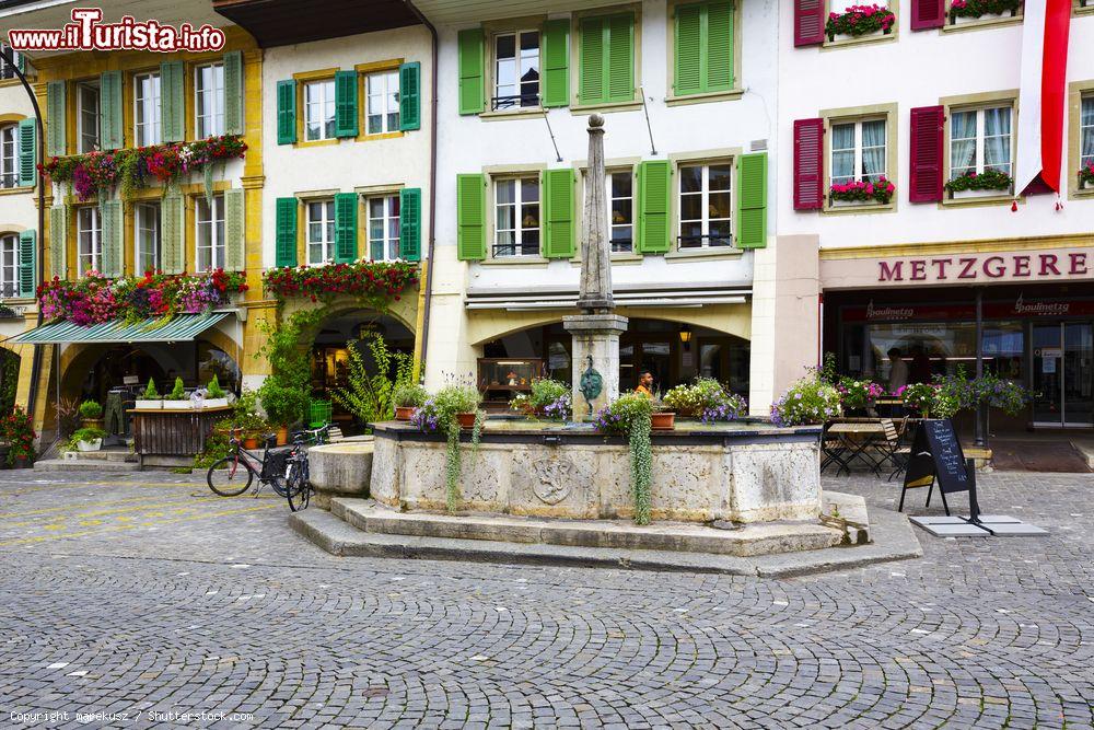 Immagine Palazzi nella via principale della vecchia città di Murten, Svizzera. In primo piano una delle fontane che si possono ammirare passeggiando per il centro storico - © marekusz / Shutterstock.com