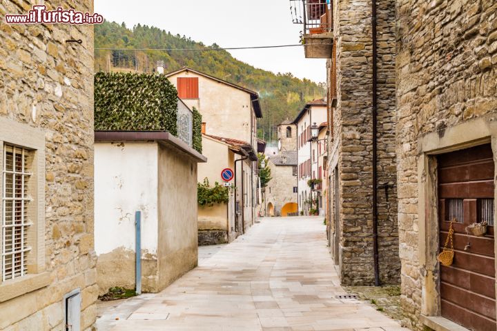 Immagine Palazzuolo sul Senio, provincia di Firenze (Toscana): siamo nel Comune meno popolato del capoluogo di provincia toscano - © GoneWithTheWind / Shutterstock.com