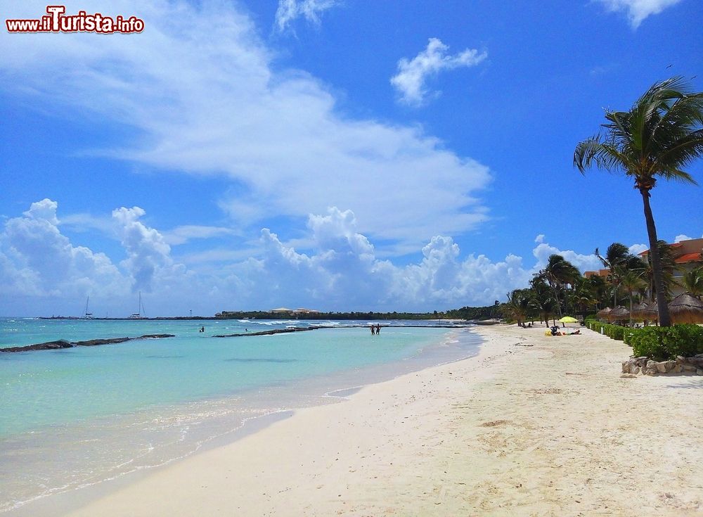 Immagine Palme da cocco su una spiaggia di sabbia bianca di fronte ad un resort di Puerto Aventuras, Riviera Maya, Messico.