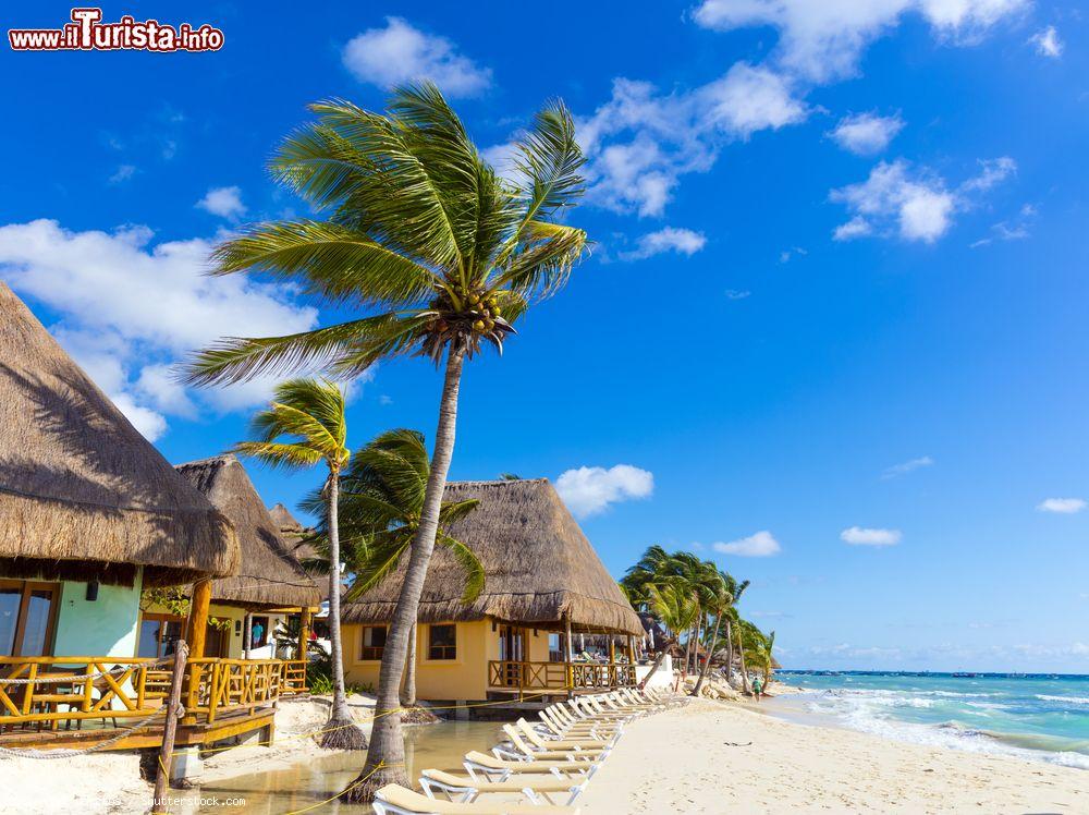 Immagine Palme e capanne con il tetto in paglia a Playa del Carmen, Messico - © posztos / Shutterstock.com