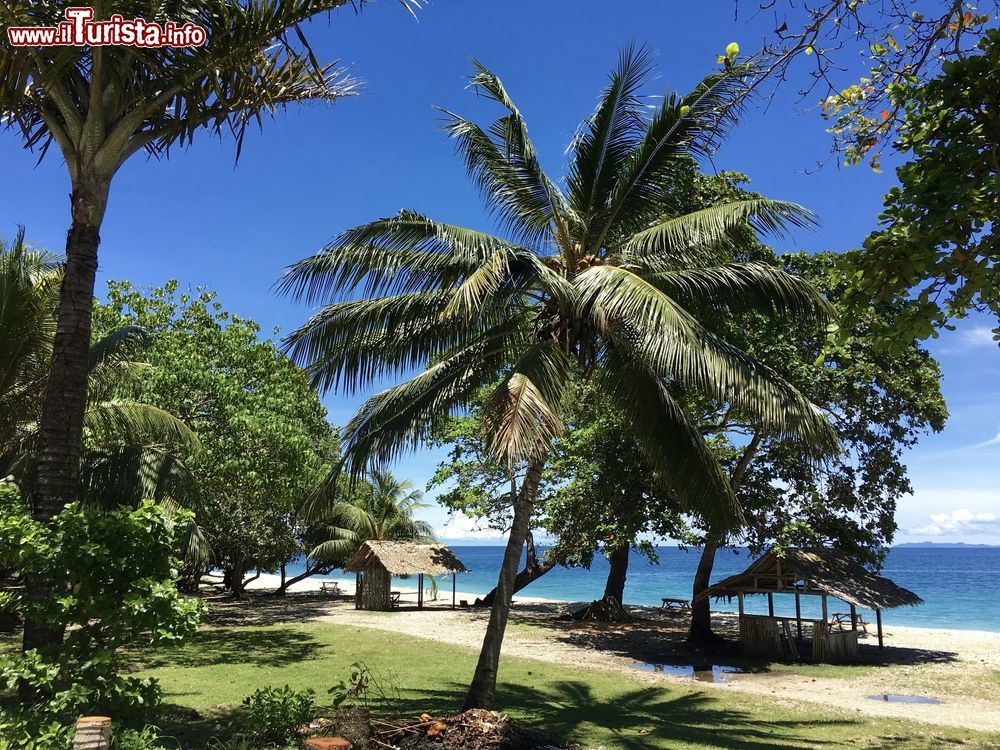 Immagine Palme e capanne in paglia a Eden Bay Beach nei pressi di Honiara, isole Solomone.