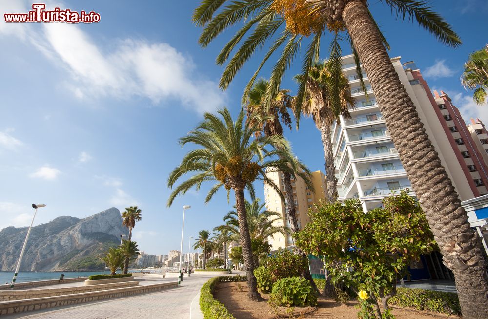 Immagine Palme, hotel e appartamenti di lusso a Calpe, città della Costa Blanca, Spagna.