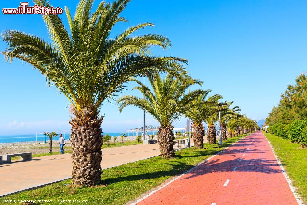 Immagine Palme lungo la passeggiata e la pista ciclabile di Batumi, Georgia. Questa località ha una forte vocazione turistica soprattutto nei mesi estivi - © Nataliya Nazarova / Shutterstock.com